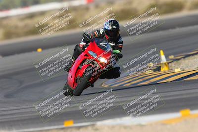 media/Oct-05-2024-Race Pace (Sat) [[aa7b44e117]]/2-Turn 11 (815am)/